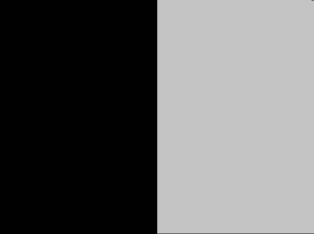 0418 Noir/Gris (0418)