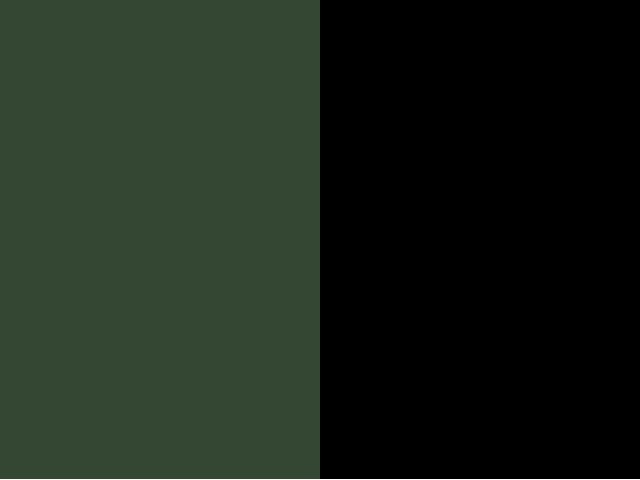 Vert/Noir (VE/NR)